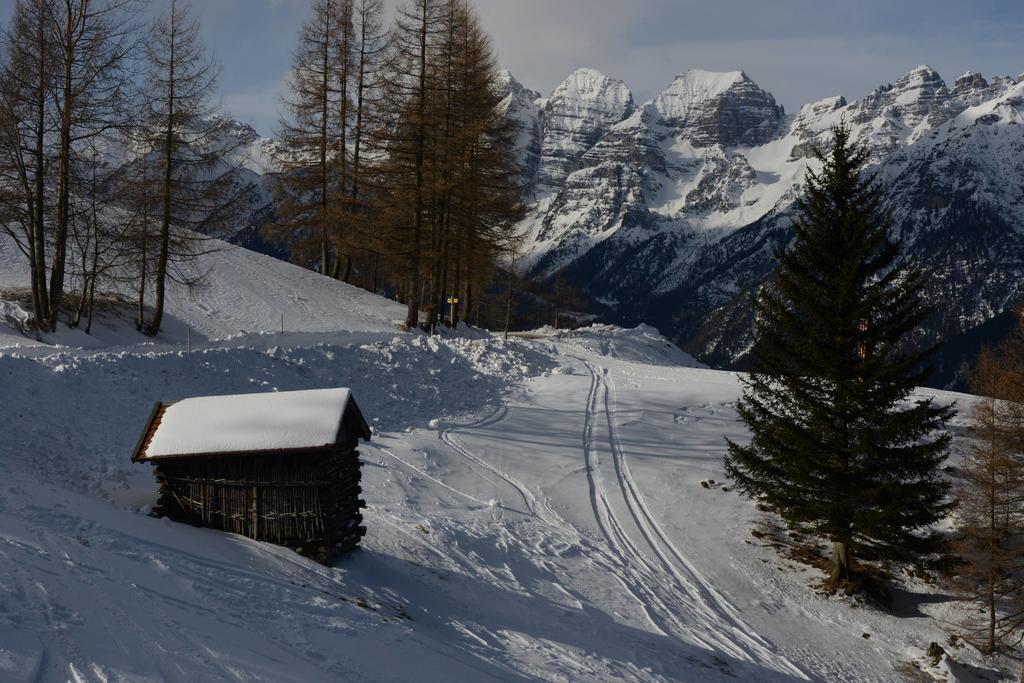 Haus Elisabeth Neustift im Stubaital Exterior foto