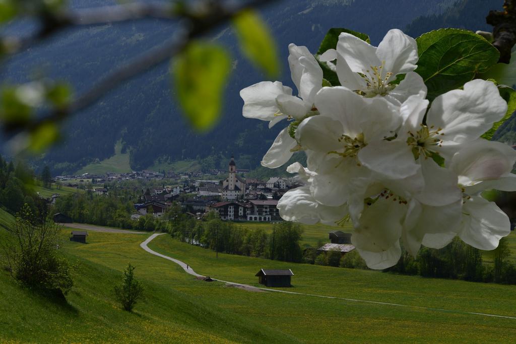 Haus Elisabeth Neustift im Stubaital Exterior foto